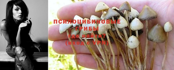бутират Вяземский
