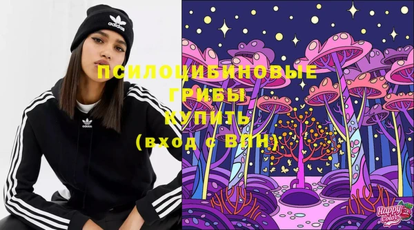 a pvp Вязники