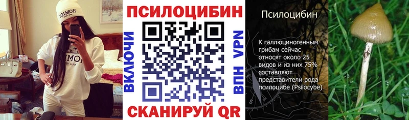 Псилоцибиновые грибы Cubensis  мега ссылки  Калининск 